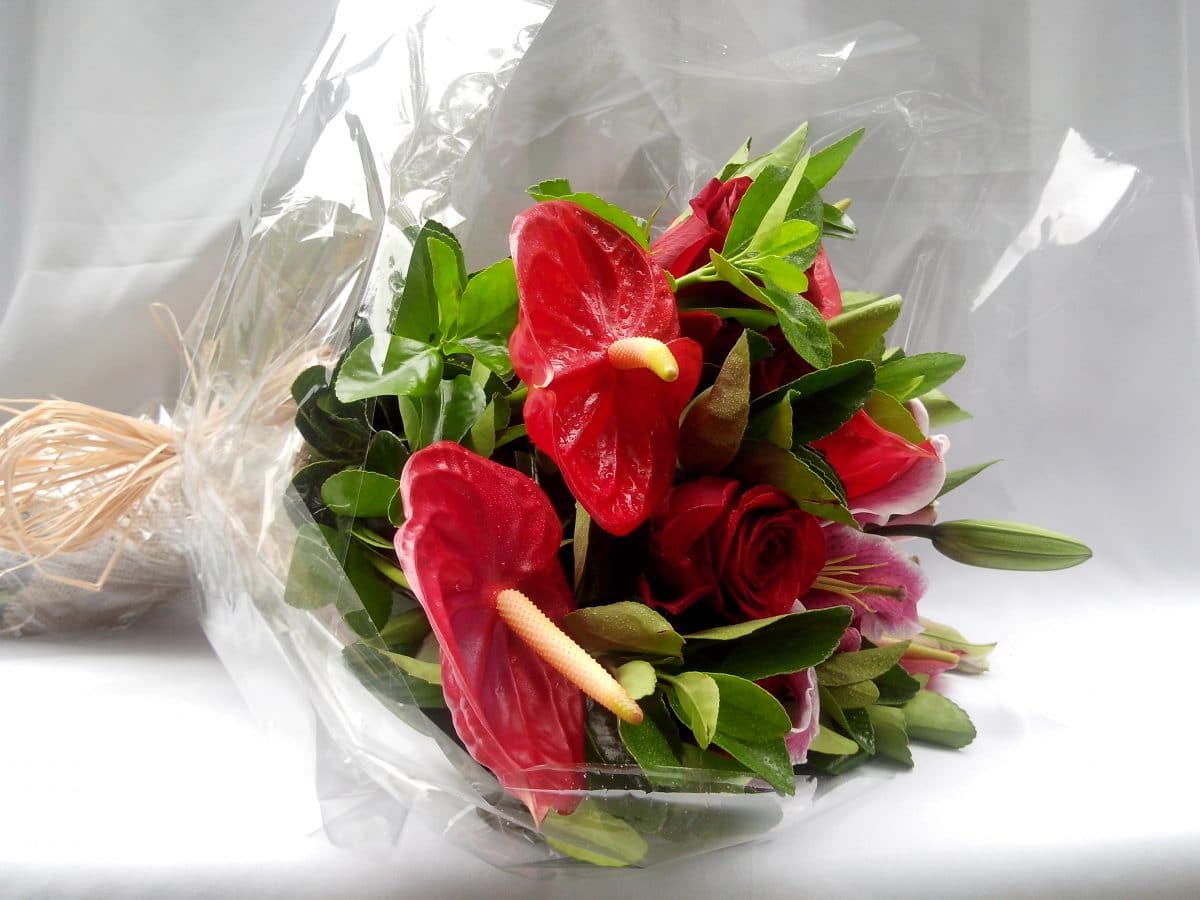 Bouquet Pequeno Lírios e Antúrios - Terra Cotta Flores